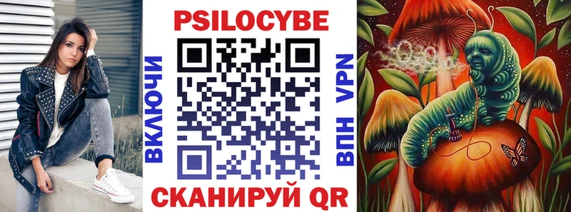 Купить закладки  Тосно  Псилоцибиновые грибы Magic Shrooms 