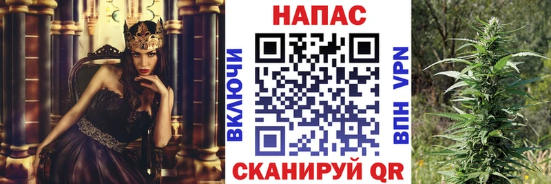 Купить где  Тосно  Шишки марихуана MAZAR 